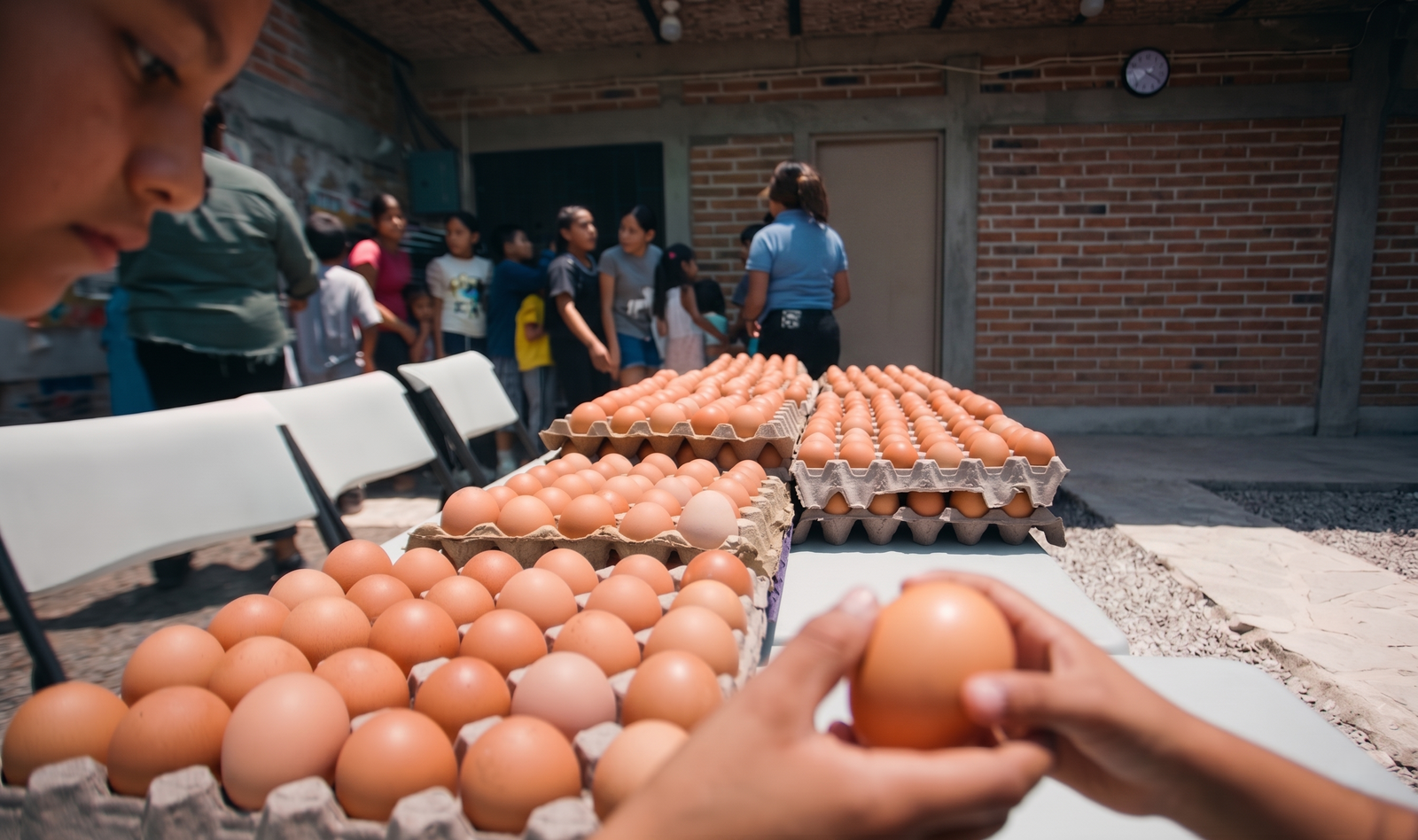 Entrega de huevos a familias comunitarias